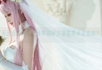 无圣光的赫本，沧霁桔梗到底在耍什么套路？